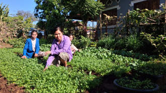 New Farming Knowledge Improves Rural Livelihoods in Sekong